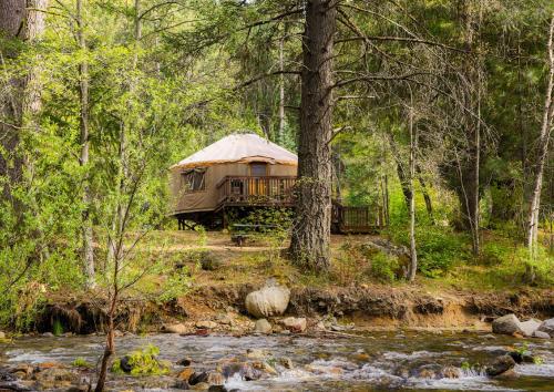Yosemite Lakes River Yurt 22 - photo 7