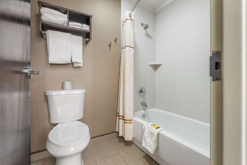 Best Western Plus Ramkota Hotel - photo 28