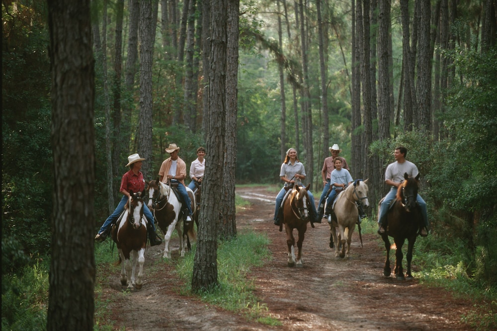 The Cabins at Disney s Fort Wilderness Resort - photo 26