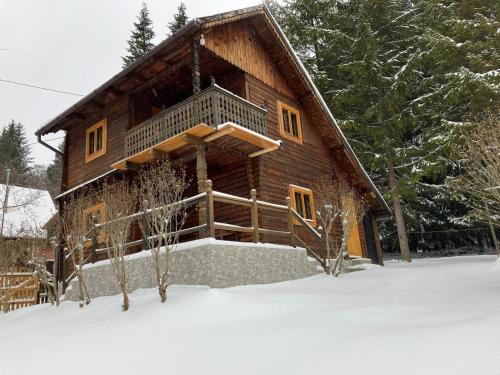 Evergreen Balvanyos - last minute hotel in Turia