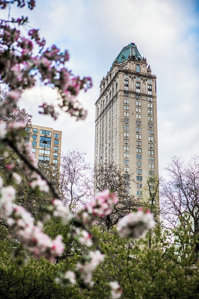 The Pierre A Taj Hotel New York - photo 94