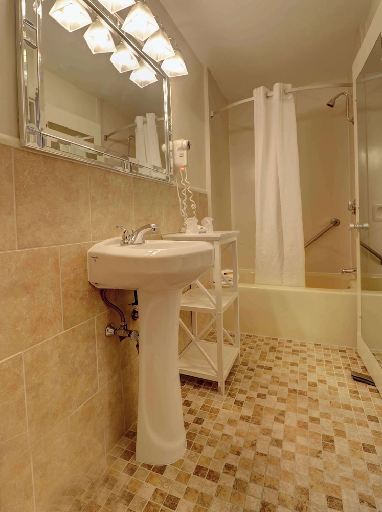 Senator Inn & Spa - photo 68