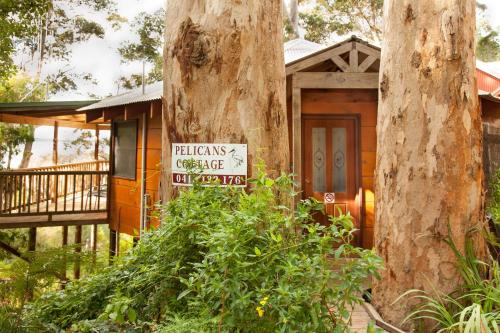 Pelicans at Denmark in Denmark, Australia