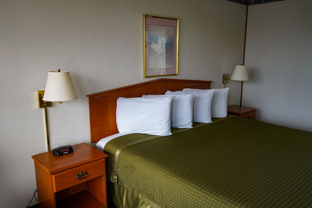 Sunset Inn Clarksville - photo 27