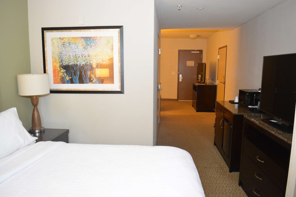 Hilton Garden Inn Houston Pearland - photo 19