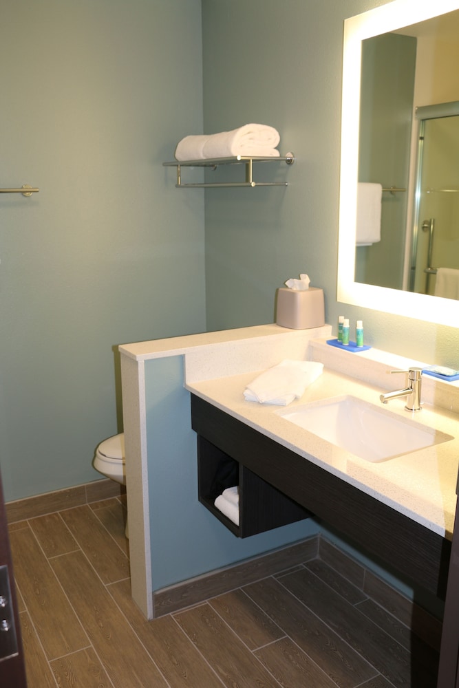 Holiday Inn Express & Suites Hendersonville SE Flat Rock by IHG - photo 7