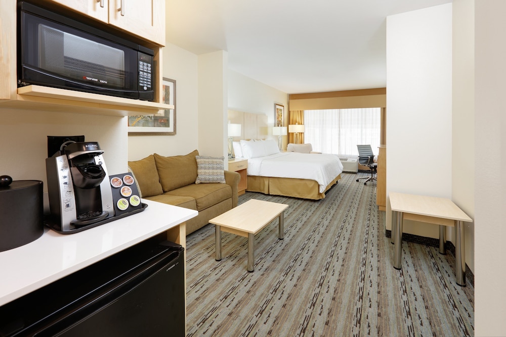 Holiday Inn Express & Suites San Antonio Brooks City Base by IHG - photo 9