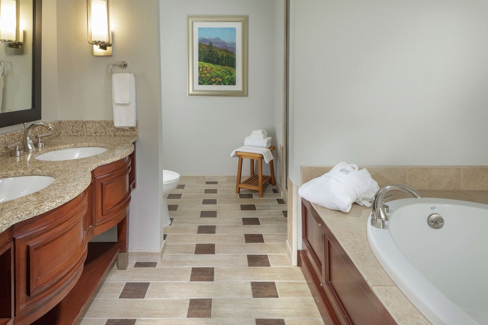 DoubleTree by Hilton Asheville Biltmore - photo 60
