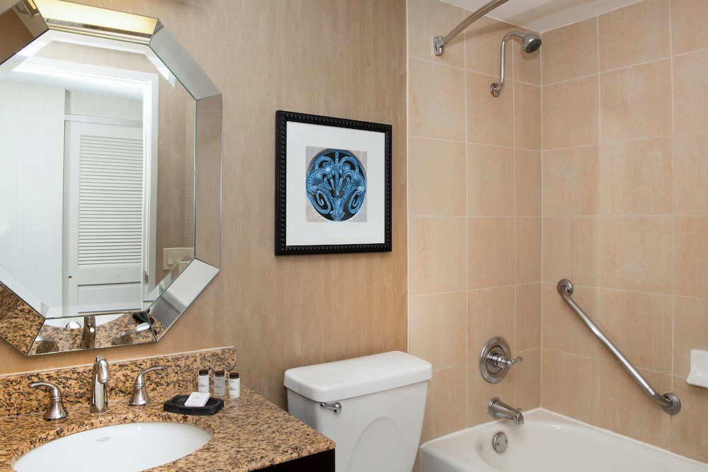 Sheraton Mission Valley San Diego Hotel - photo 66