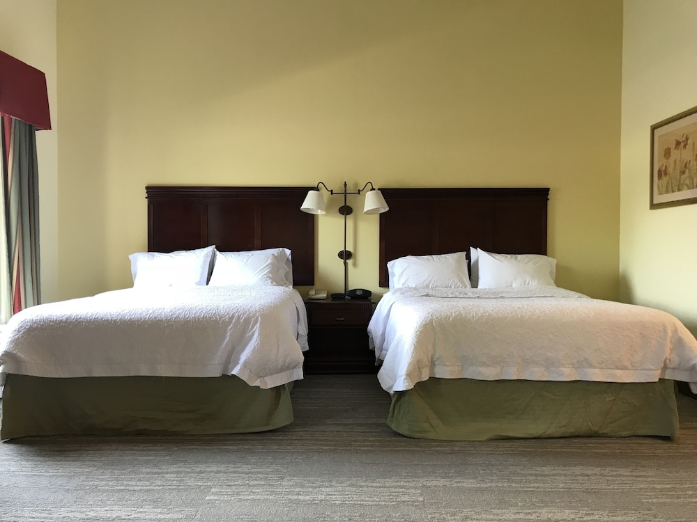 Hampton Inn & Suites Lamar - photo 16