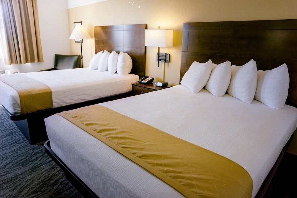Pines Inn & Suites - photo 20