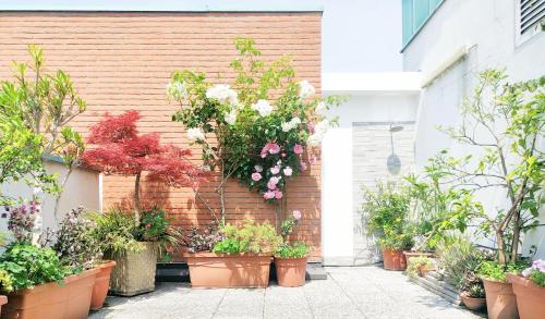 B&B Vimo Appartamento con terrazzo privato Milano San Raffaele Vimodrone — 4-Star Luxury Hotel in Vimodrone, Italy