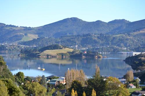 Treetops B&B — 4-Star Luxury Hotel in Portobello, New Zealand