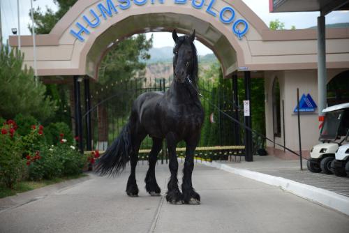 Humson Buloq Sanatorium in Unknown City, Uzbekistan