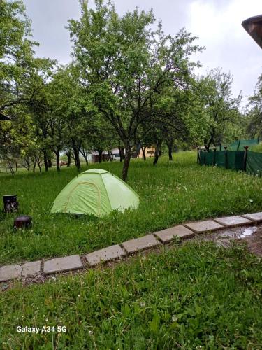 La tataie Nucșoara — Nucsoara — photo 5