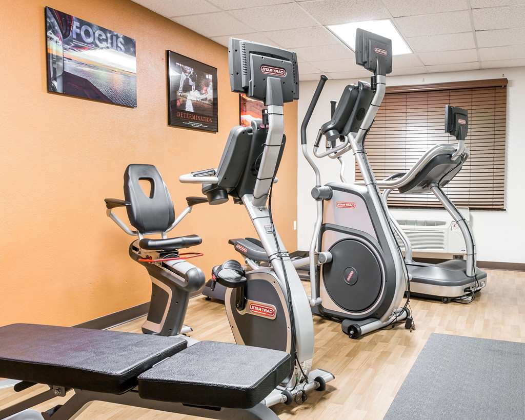Comfort Inn Metro Airport - photo 43