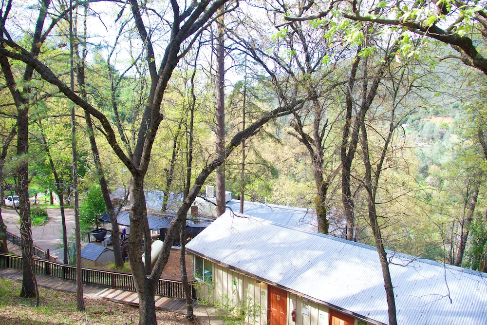 Yosemite Bug Rustic Mountain Resort - photo 144