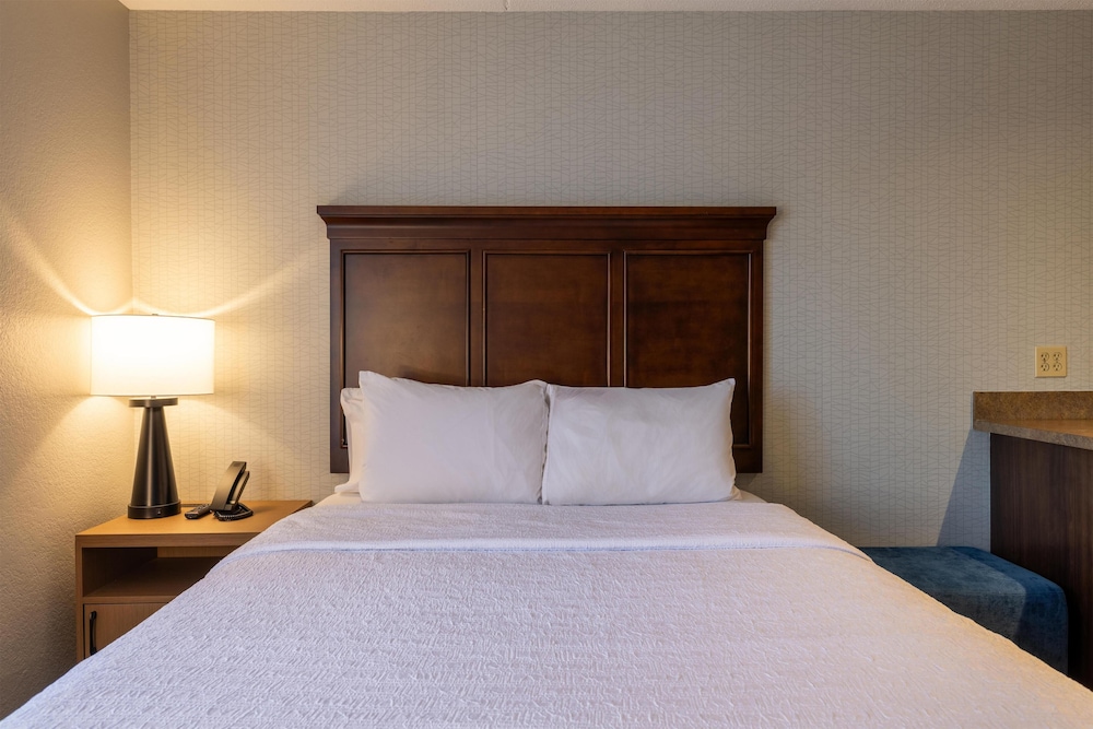Hampton Inn Portsmouth Central - photo 14
