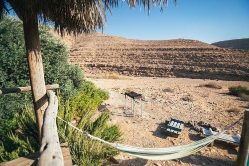 Naot Farm in Arad, Israel