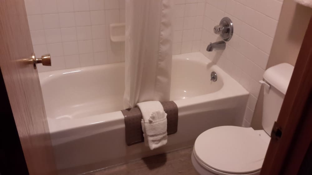 Lakeshore Inn & Suites - photo 31