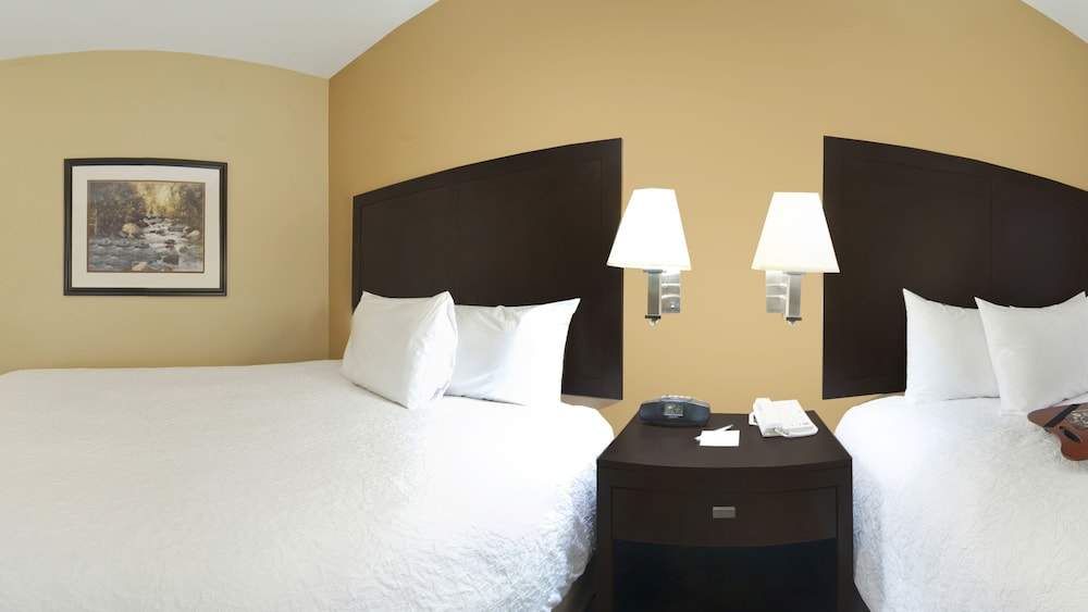 Hampton Inn & Suites Knoxville North I 75 - photo 13
