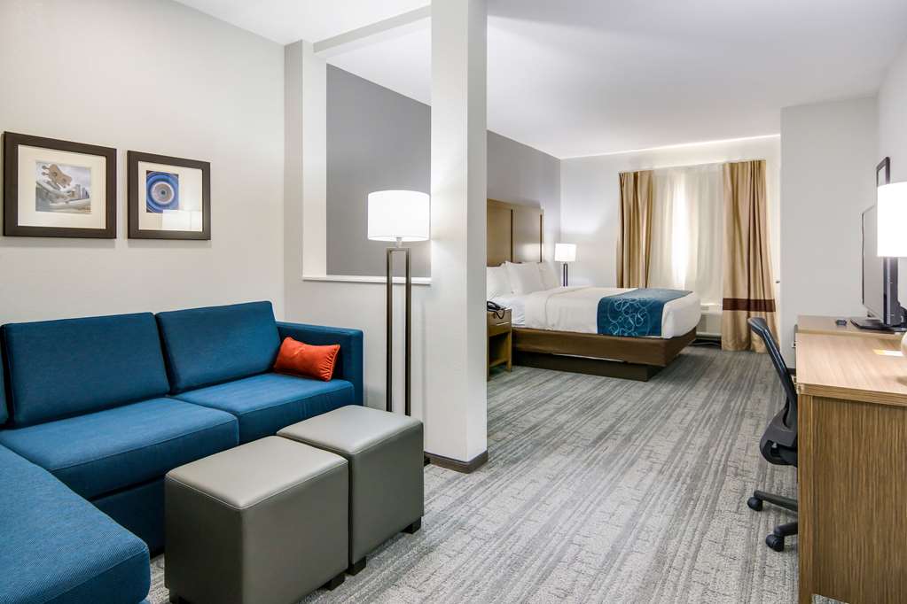 Comfort Suites DeSoto Dallas South - photo 27