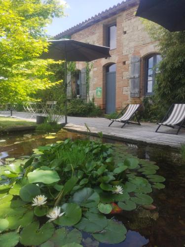 Manoir Des Barrayrous in Negrepelisse, France