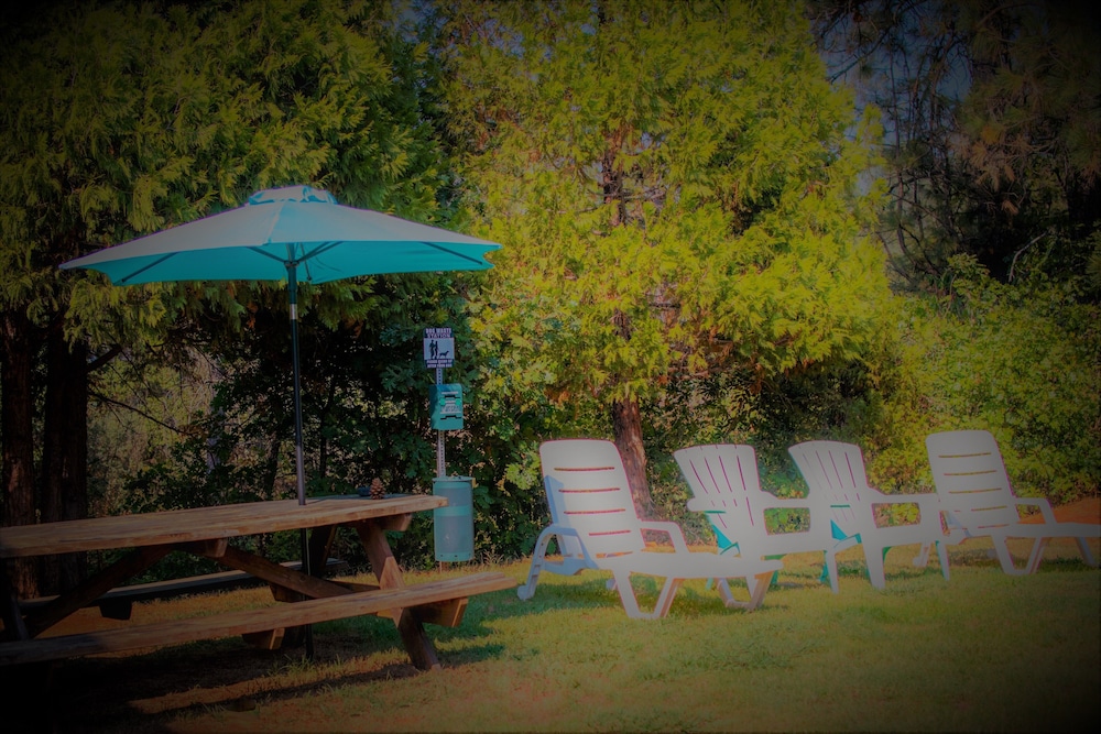 Brownsville Motel - photo 141
