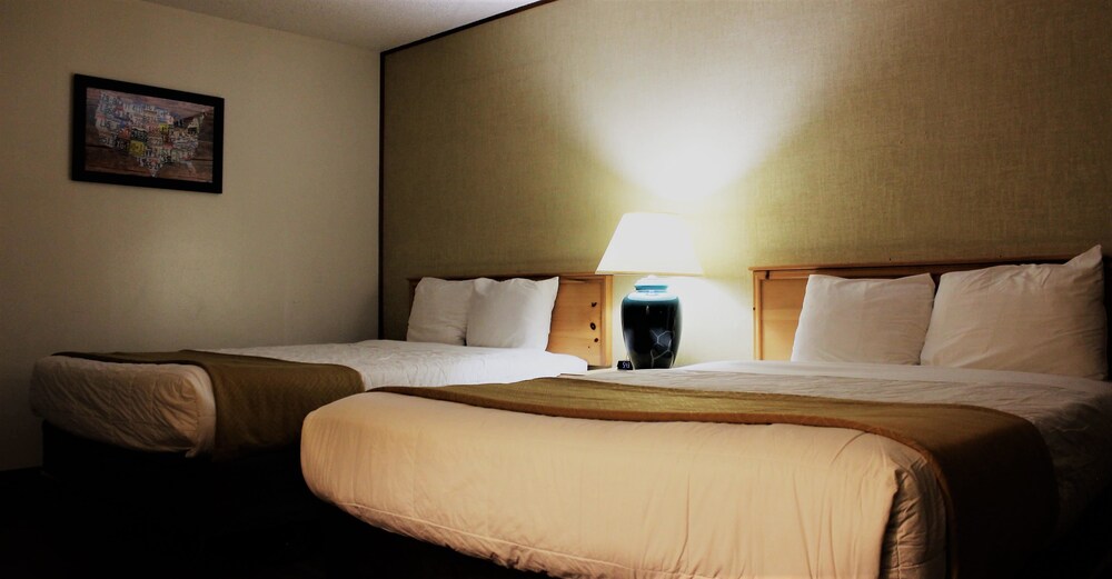 Econo Lodge Inn and Suites Central - photo 7