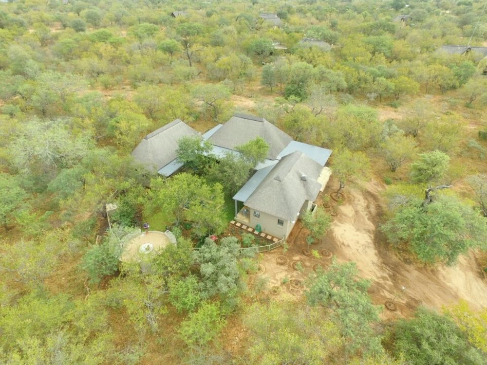Pangolin Lodge — 4-Star Luxury Hotel in Hoedspruit, South Africa
