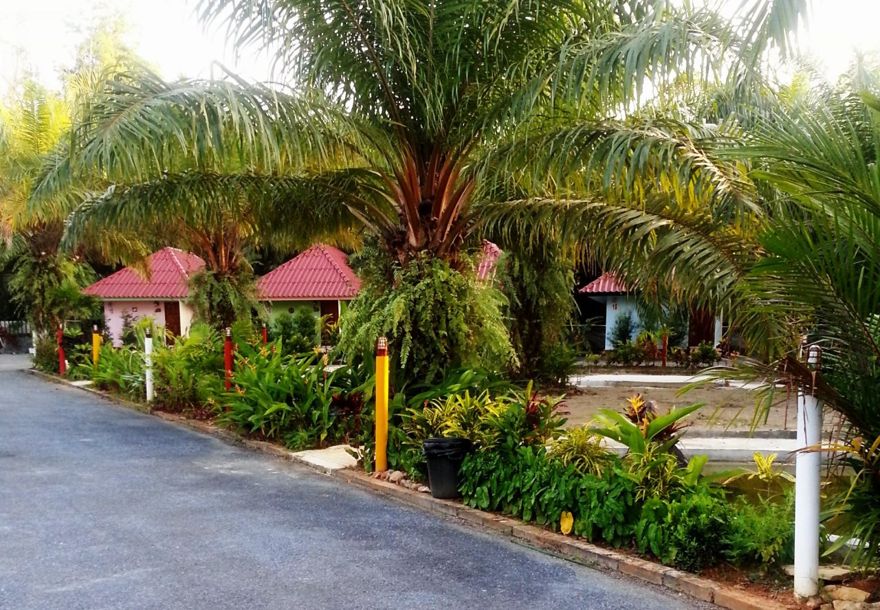 Phana Resort — Krabi — photo 3