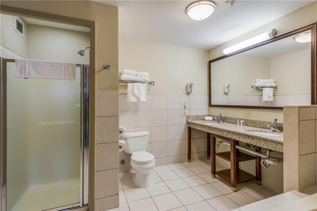 Comfort Suites Chicago O'Hare Airport - photo 35
