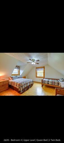 The blueridge cabin — Ceres — photo 4