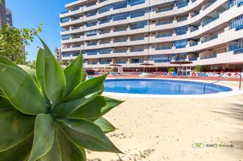 37C TB fantA sticas vistas in Calp, Spain