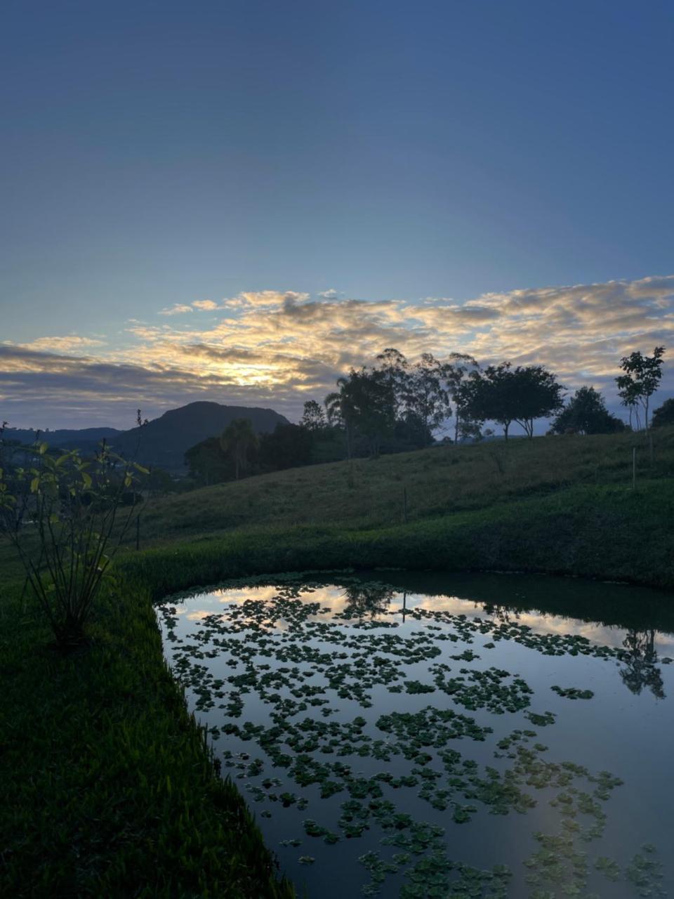 Cabana Container Glamping — Rio Do Sul — photo 5