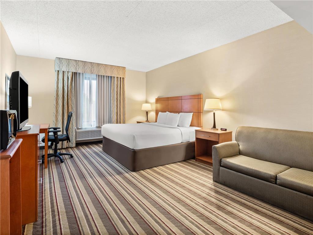 Comfort Inn Metro Airport - photo 28