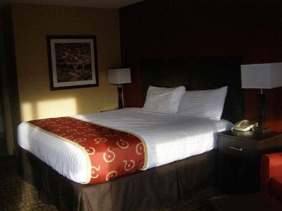 SureStay Hotel by Best Western Lovelock - photo 6