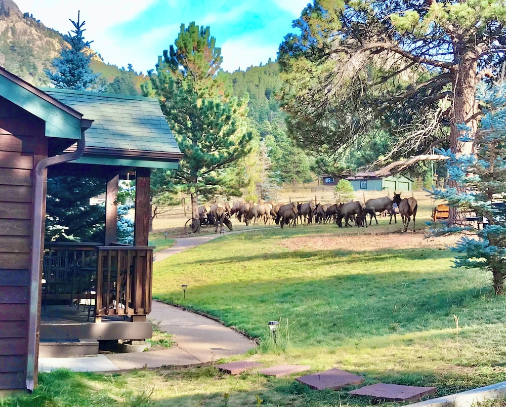 Mountain Shadows Resort - photo 39