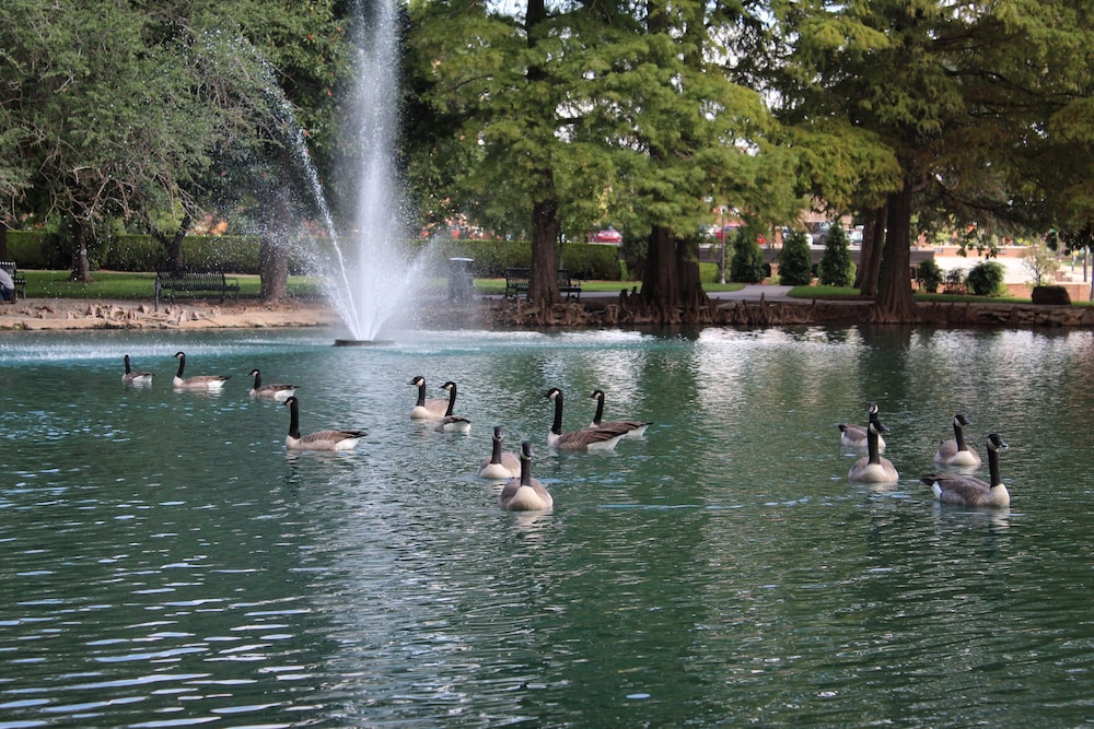 The Atherton Hotel At OSU - photo 81