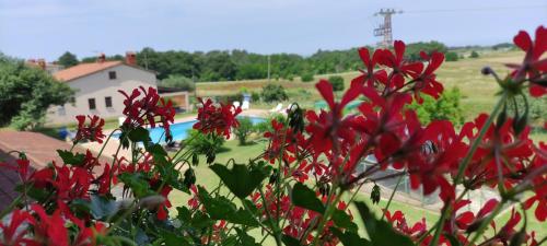 Moratto's Apartments — 4-Star Luxury Hotel in Umag, Croatia