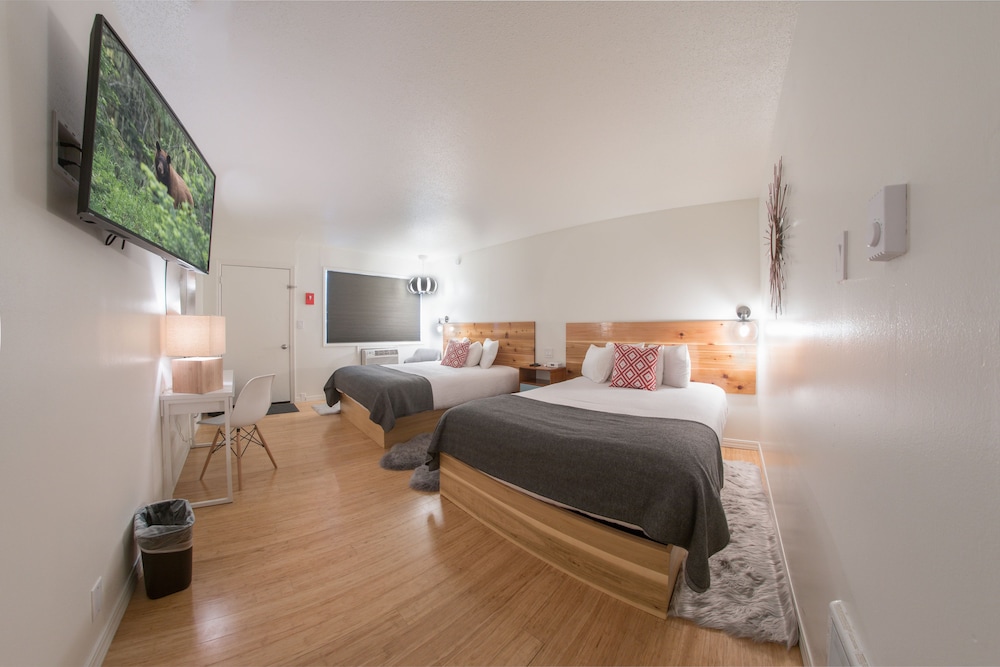Monarch Motel - photo 9