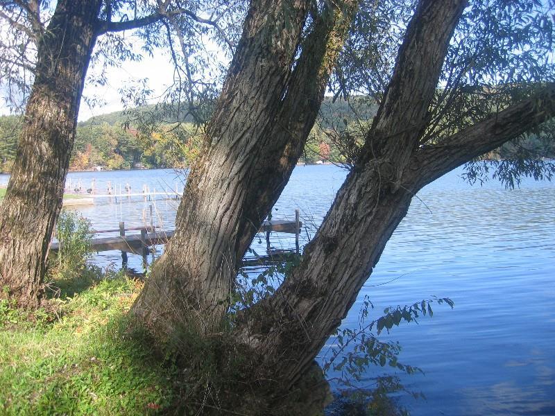 Red Carpet Inn On the Lake - photo 30