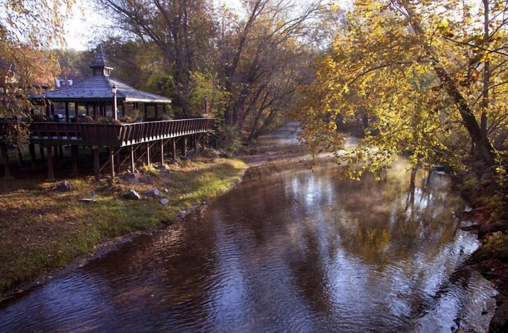 Loreley Resort - photo 17