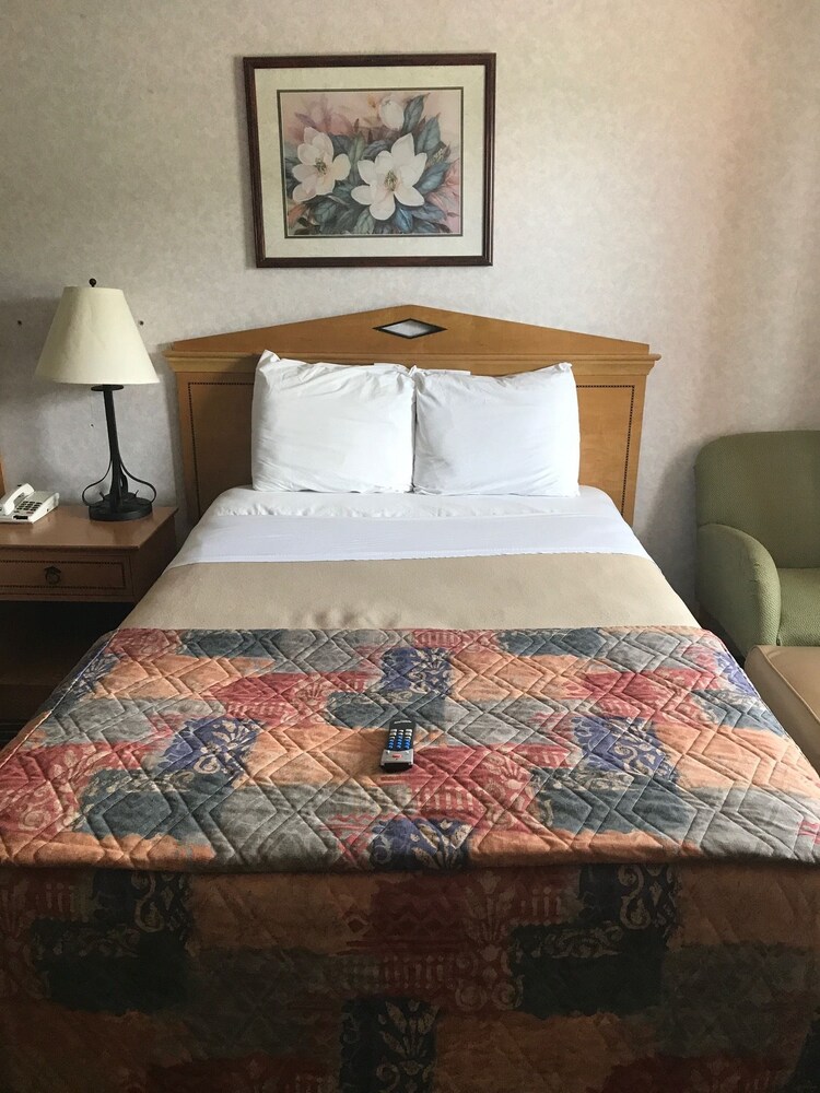 Budget Inn Timmonsville - photo 4