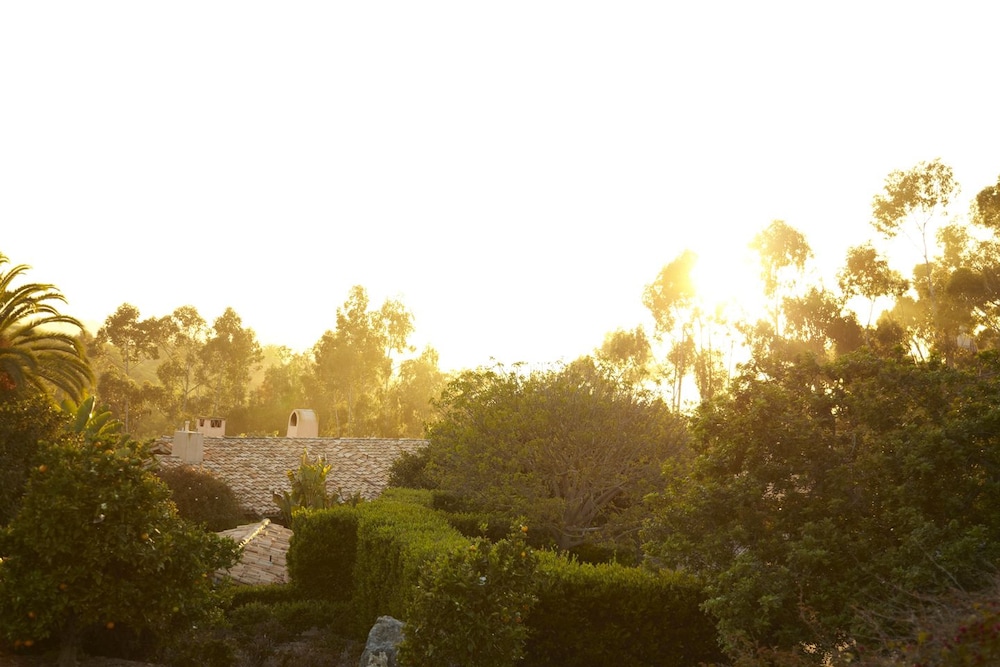 Rancho Valencia Resort and Spa - photo 42
