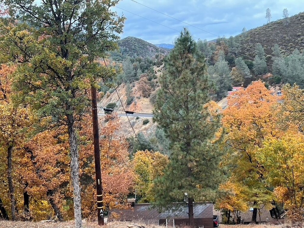 Yosemite Bug Rustic Mountain Resort - photo 121