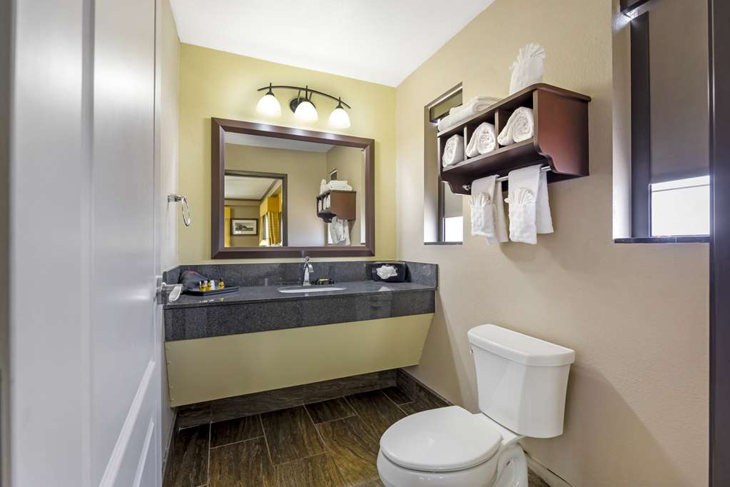 Best Western Plus Emerald Inn & Suites - photo 24