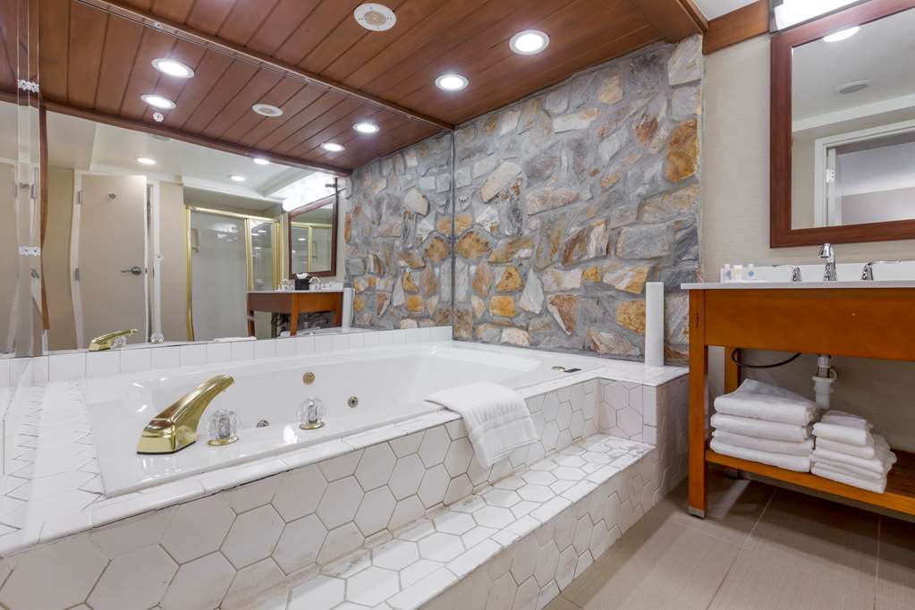 Comfort Inn University Durham Chapel Hill - photo 26