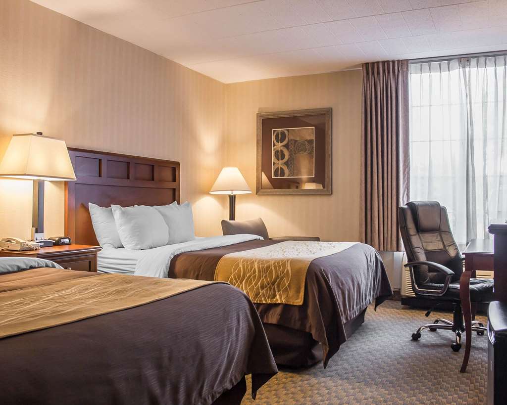 Comfort Inn Wethersfield Hartford - photo 14