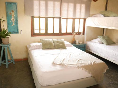 Guacuco Living in Unknown City, Venezuela